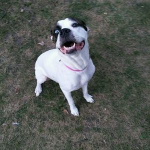 Meet your Posher, Domonic